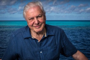 David-Attenborough-on-the-Great-Barrier-Reef-9-c-Atlantic-Productions1